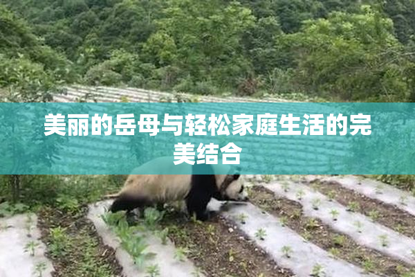 美丽的岳母与轻松家庭生活的完美结合