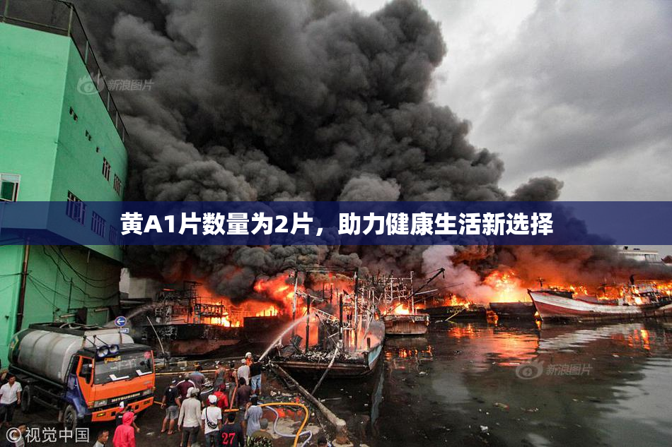黄A1片数量为2片，助力健康生活新选择