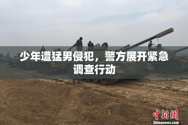 少年遭猛男侵犯，警方展开紧急调查行动