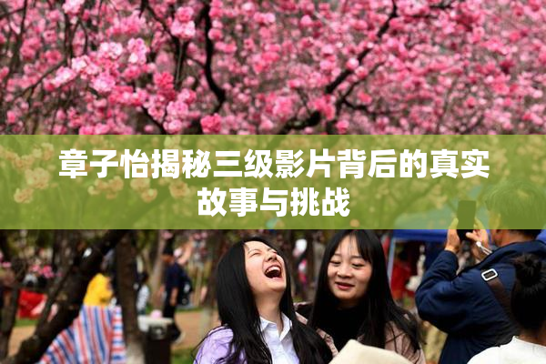 章子怡揭秘三级影片背后的真实故事与挑战