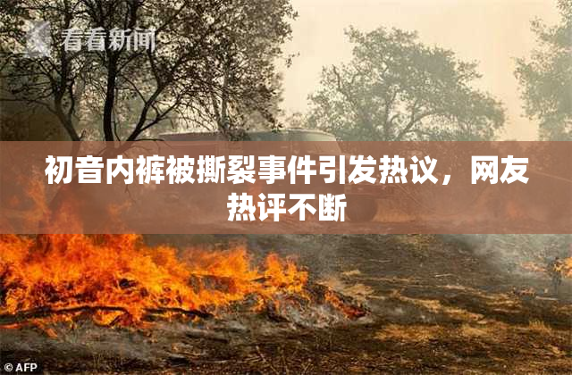 初音内裤被撕裂事件引发热议，网友热评不断