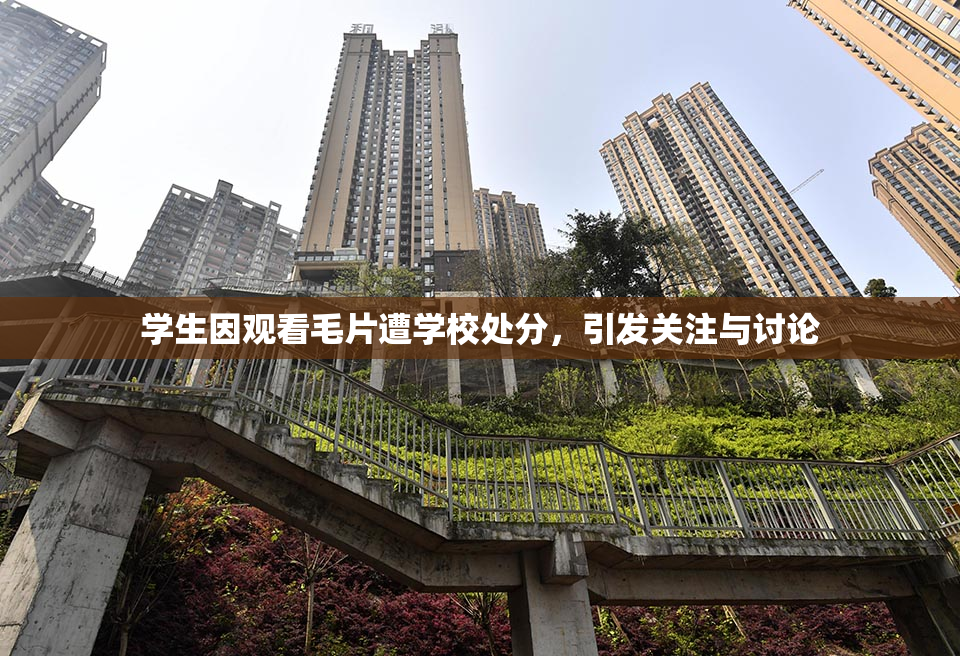 学生因观看毛片遭学校处分，引发关注与讨论