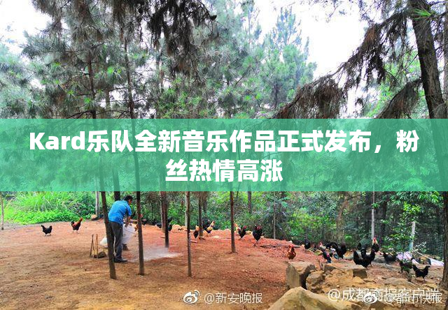 Kard乐队全新音乐作品正式发布，粉丝热情高涨
