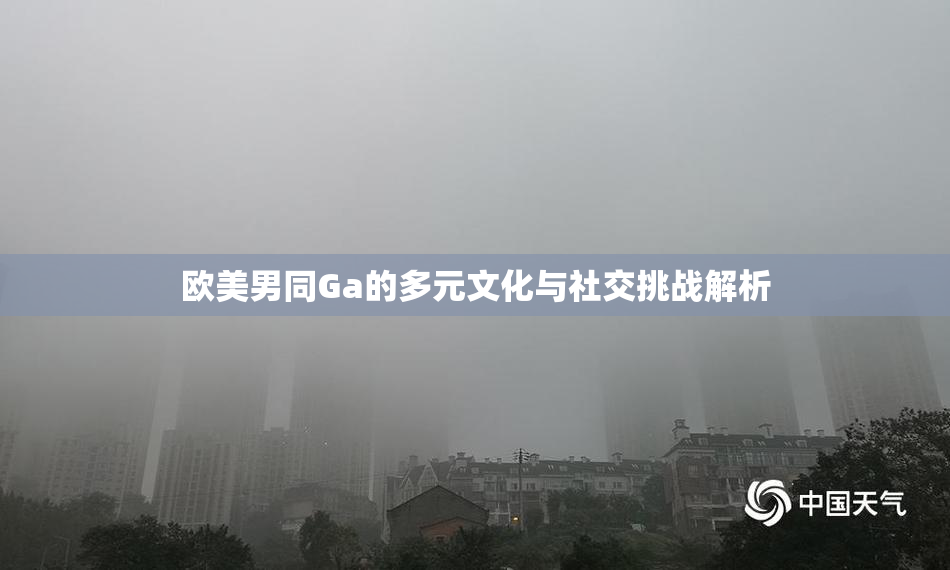 欧美男同Ga的多元文化与社交挑战解析