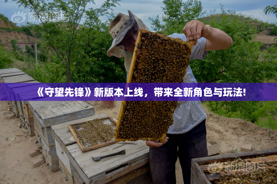 《守望先锋》新版本上线，带来全新角色与玩法!