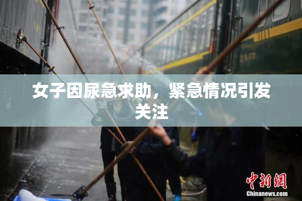 女子因尿急求助，紧急情况引发关注