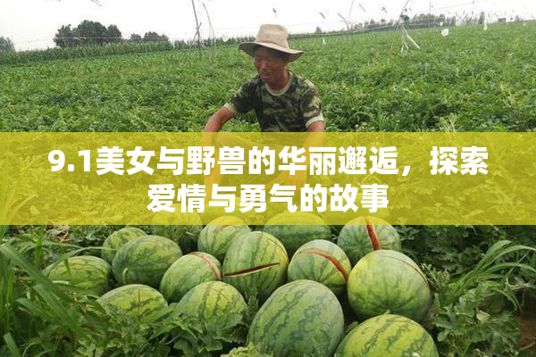 9.1美女与野兽的华丽邂逅，探索爱情与勇气的故事