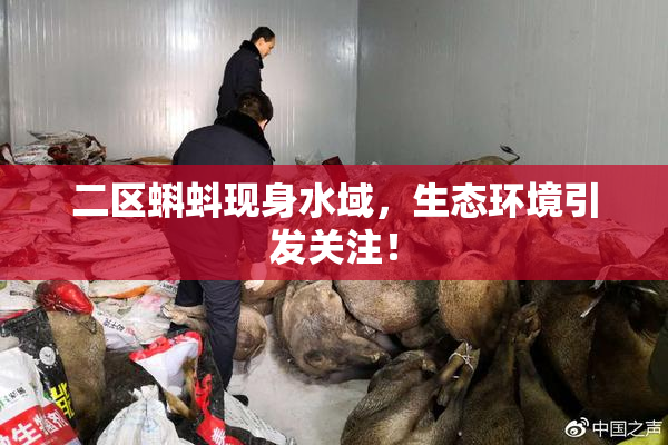 二区蝌蚪现身水域，生态环境引发关注！