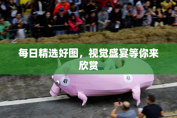 每日精选好图，视觉盛宴等你来欣赏