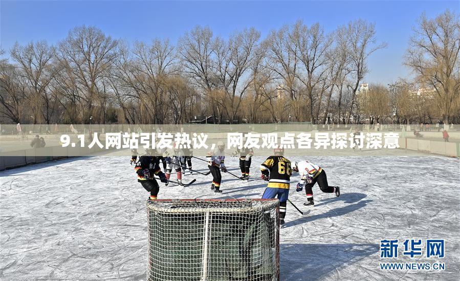 9.1人网站引发热议，网友观点各异探讨深意