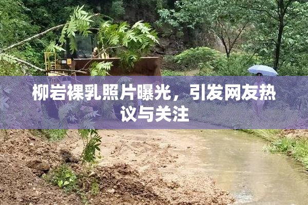 柳岩裸乳照片曝光，引发网友热议与关注