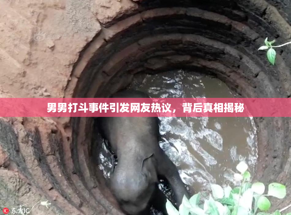 男男打斗事件引发网友热议，背后真相揭秘
