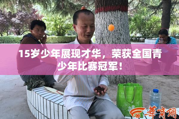 15岁少年展现才华，荣获全国青少年比赛冠军！