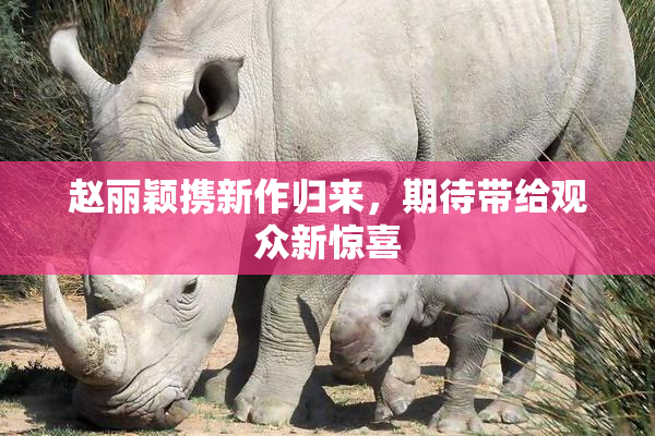 赵丽颖携新作归来，期待带给观众新惊喜