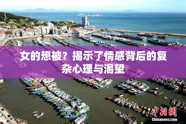 女的想被？揭示了情感背后的复杂心理与渴望