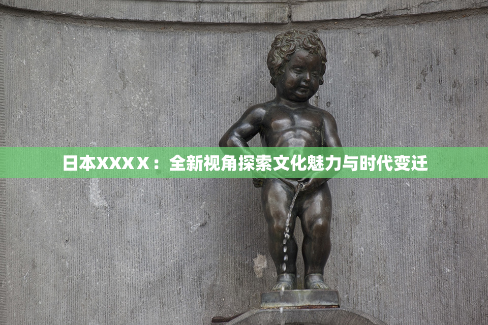 日本XXXⅩ：全新视角探索文化魅力与时代变迁