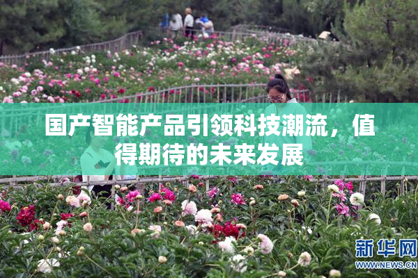 国产智能产品引领科技潮流，值得期待的未来发展