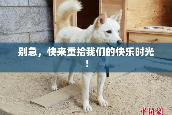 别急，快来重拾我们的快乐时光！