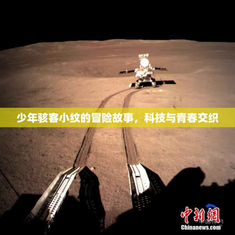 少年骇客小纹的冒险故事，科技与青春交织
