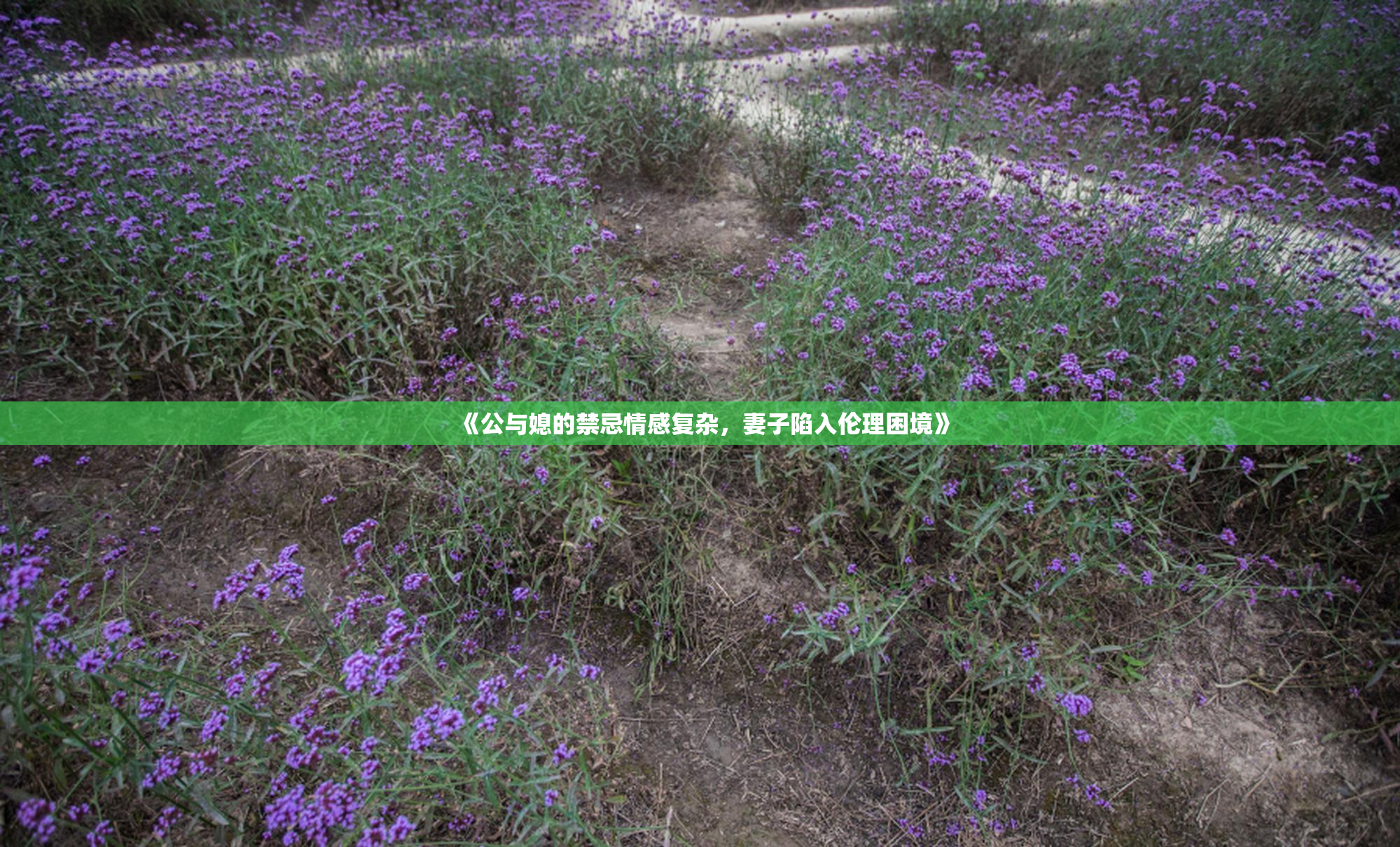 《公与媳的禁忌情感复杂，妻子陷入伦理困境》