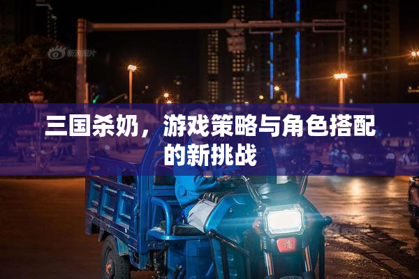 三国杀奶，游戏策略与角色搭配的新挑战