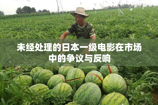 未经处理的日本一级电影在市场中的争议与反响
