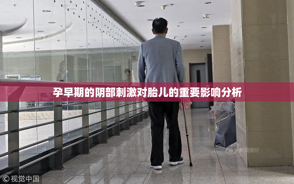 孕早期的阴部刺激对胎儿的重要影响分析