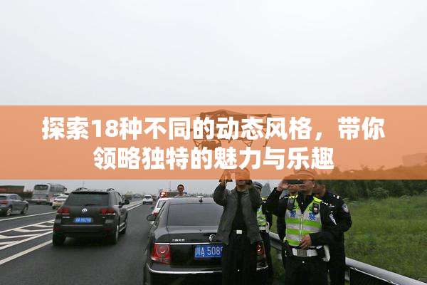 探索18种不同的动态风格，带你领略独特的魅力与乐趣