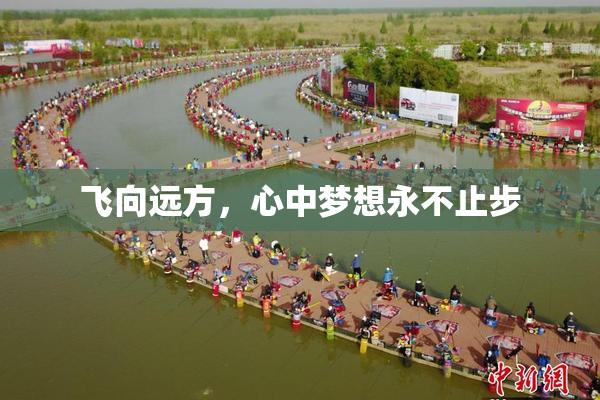 飞向远方，心中梦想永不止步