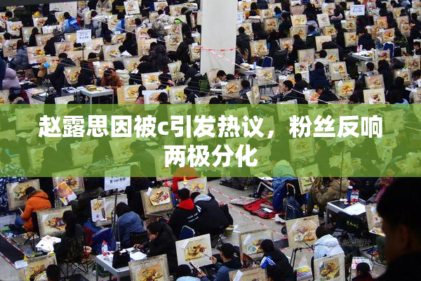 赵露思因被c引发热议，粉丝反响两极分化