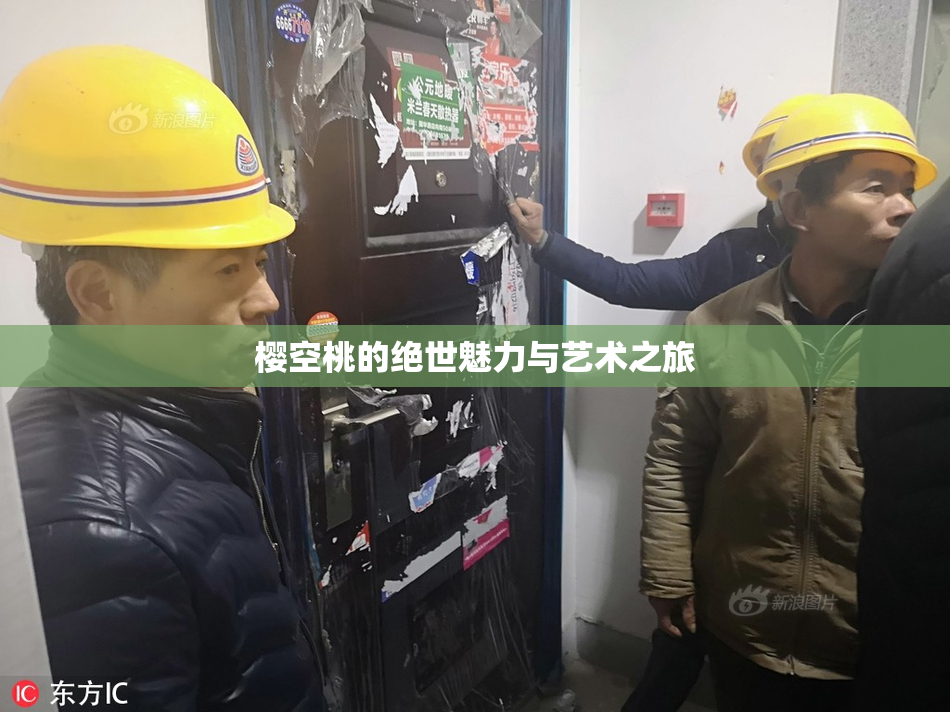 樱空桃的绝世魅力与艺术之旅