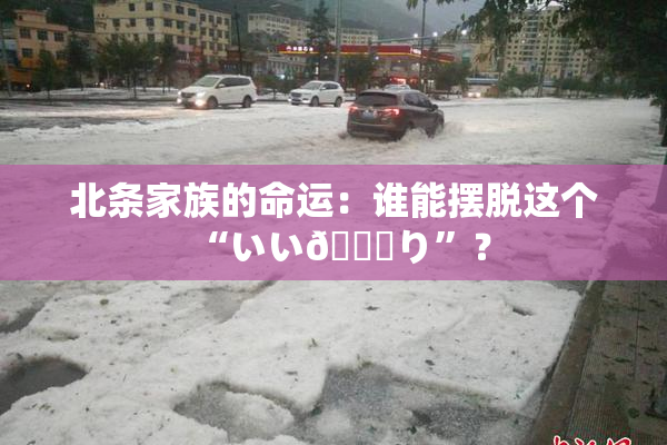 北条家族的命运：谁能摆脱这个“いい🍑り”？