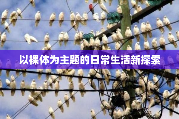以裸体为主题的日常生活新探索