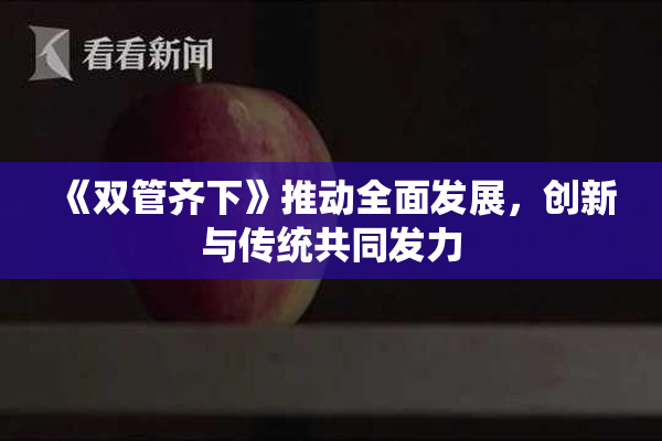 《双管齐下》推动全面发展，创新与传统共同发力