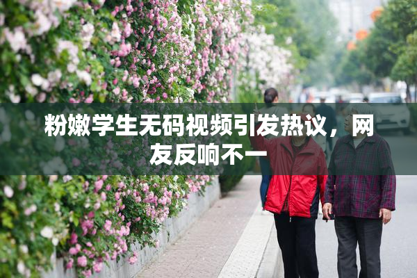 粉嫩学生无码视频引发热议，网友反响不一