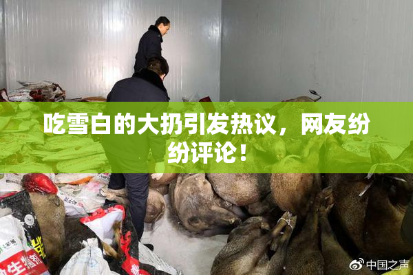 吃雪白的大扔引发热议，网友纷纷评论！