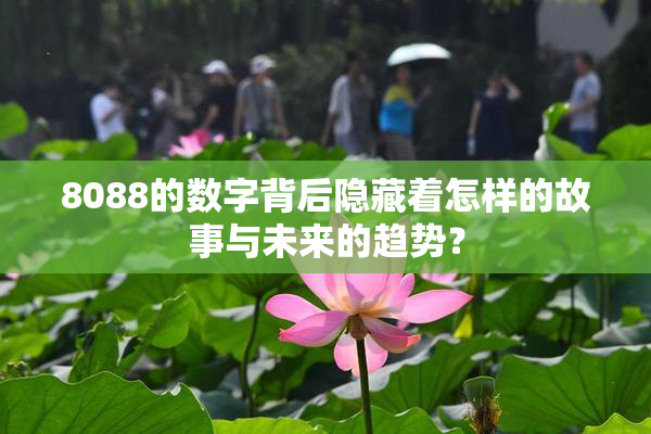 8088的数字背后隐藏着怎样的故事与未来的趋势？