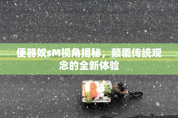 便器奴sM视角揭秘，颠覆传统观念的全新体验