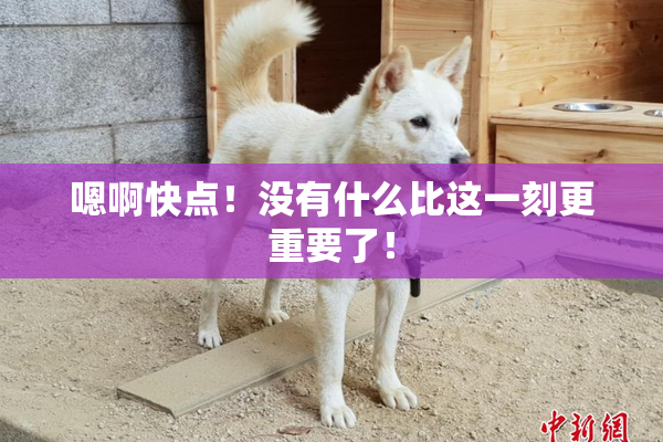 嗯啊快点！没有什么比这一刻更重要了！