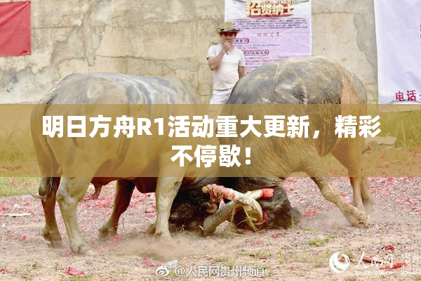 明日方舟R1活动重大更新，精彩不停歇！