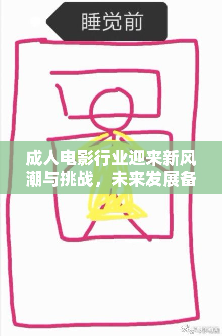 成人电影行业迎来新风潮与挑战，未来发展备受关注。