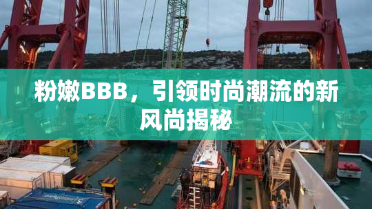 粉嫩BBB，引领时尚潮流的新风尚揭秘