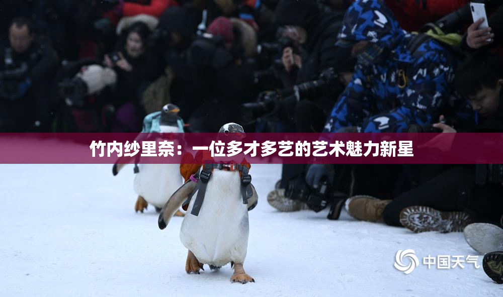竹内纱里奈：一位多才多艺的艺术魅力新星