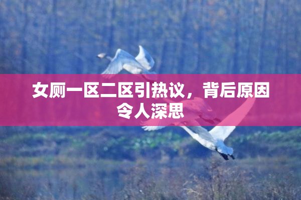女厕一区二区引热议，背后原因令人深思