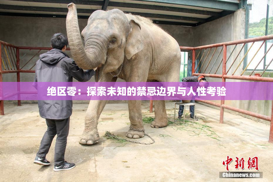 绝区零：探索未知的禁忌边界与人性考验