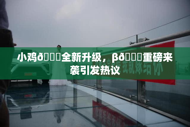小鸡🐔全新升级，β🔞重磅来袭引发热议