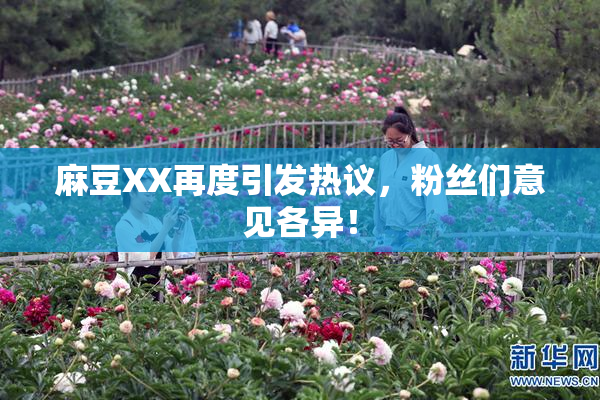 麻豆XX再度引发热议，粉丝们意见各异！