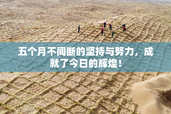 五个月不间断的坚持与努力，成就了今日的辉煌！