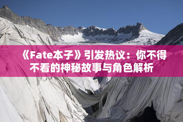 《Fate本子》引发热议：你不得不看的神秘故事与角色解析