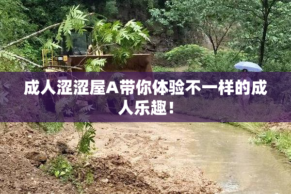 成人涩涩屋A带你体验不一样的成人乐趣！